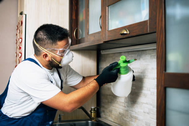 Best Local Pest Control Services  in Dixon Lane Meadow Creek, CA