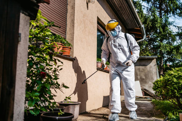 Best Rat Extermination Near Me  in Dixon Lane Meadow Creek, CA