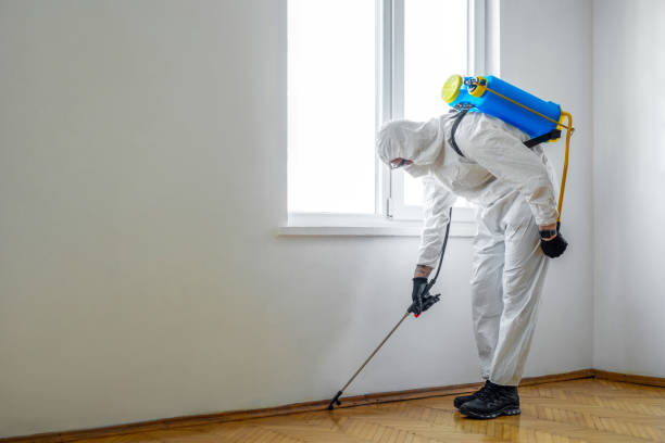 Best Best Pest Control Companies  in Dixon Lane Meadow Creek, CA