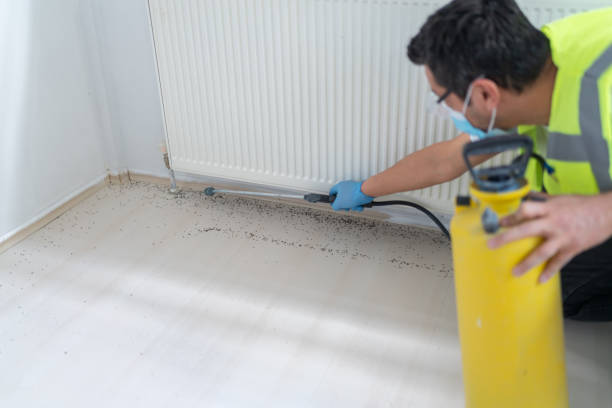 Best Pest Removal Services  in Dixon Lane Meadow Creek, CA